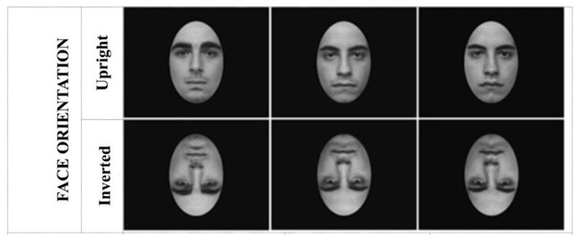Ngã ngửa với nhưng thí nghiệm 'ngốc nghếch' vừa đạt giải IG Nobel 2017 ảnh 7