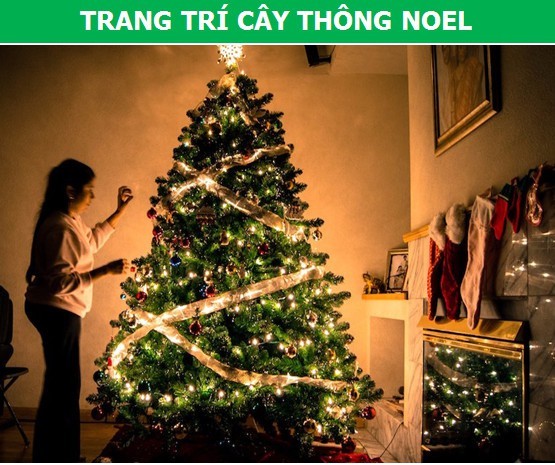 Ít ai biết lịch sử những nghi thức truyền thống ngày lễ Giáng sinh ảnh 2