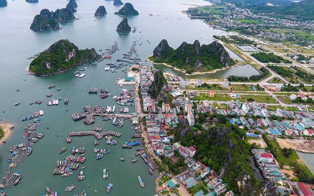 'Sốt' đất đi qua, loạt dự án bỏ hoang ở Vân Đồn bị thu hồi ảnh 1
