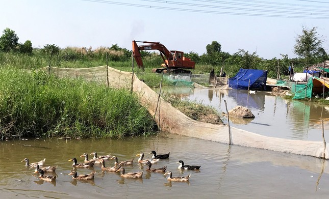 Cò đất 'thổi giá' náo loạn vùng quê, Hà Nội xin đất làm đường đua F1 ảnh 2