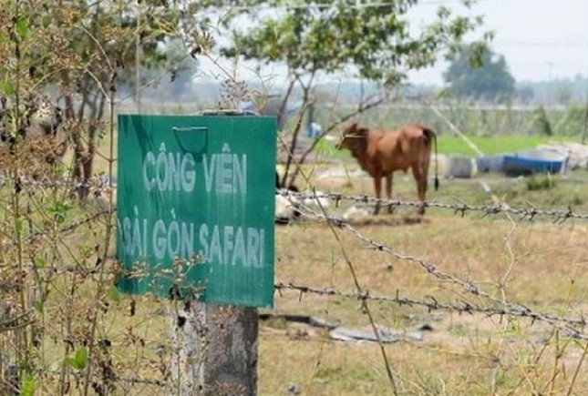 Chánh thanh tra xây nhà không phép, căn hộ chung cư cải tạo gần 40 tỷ gây choáng ảnh 7