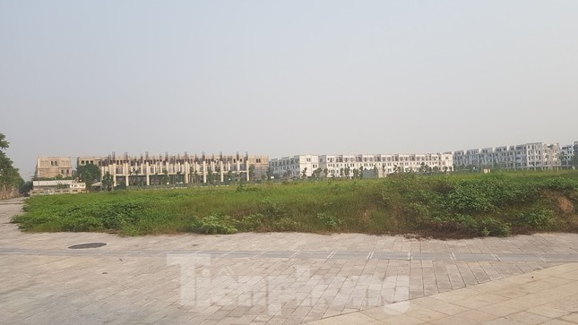 Dự án BT 1.500 tỷ của Bitexco vướng GPMB do khu tái định cư chưa có ảnh 3