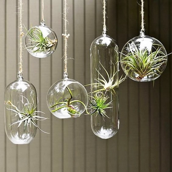 Những kiểu trang trí nhà đơn giản nhưng cực 'chất' để đón Tết ảnh 3