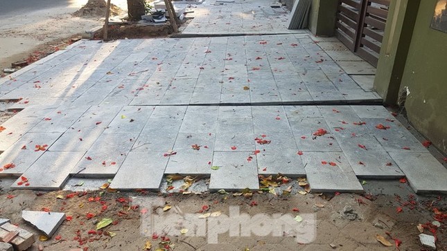 Yêu cầu chủ biệt thự đô thị mẫu chặt cây, lát vỉa hè sai quy hoạch trả lại nguyên trạng ảnh 2