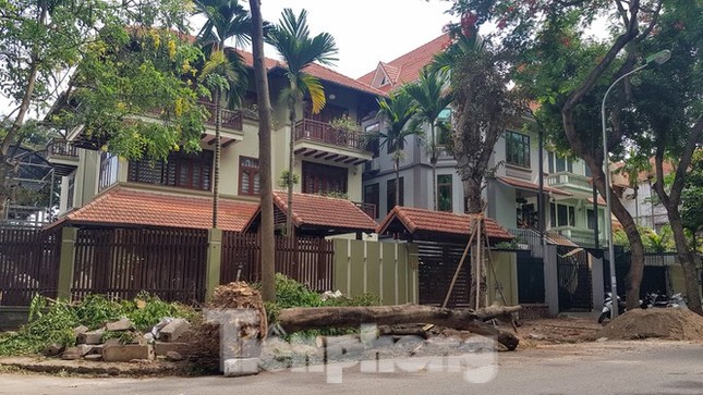 Yêu cầu chủ biệt thự đô thị mẫu chặt cây, lát vỉa hè sai quy hoạch trả lại nguyên trạng ảnh 1