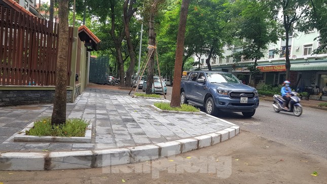 Vụ chủ biệt thự tự ý chặt cây, lát vỉa hè trái phép: Sai phạm vẫn ‘chình ình’ ảnh 1
