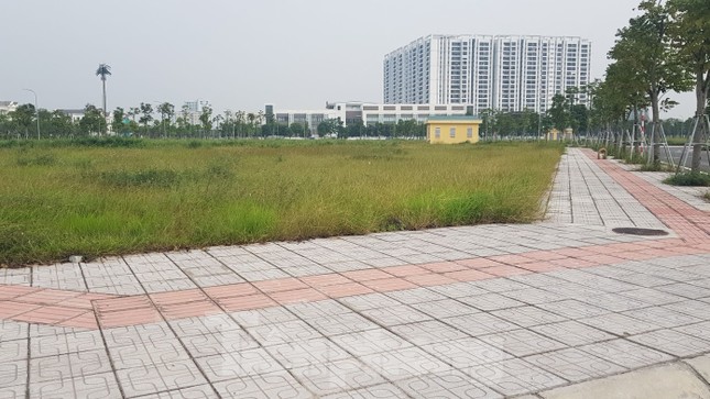 Hà Nội: Lình xình đấu giá khu 'đất vàng' ở Long Biên ảnh 1