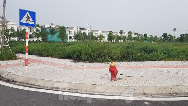 Hà Nội: Lình xình đấu giá khu 'đất vàng' ở Long Biên ảnh 3