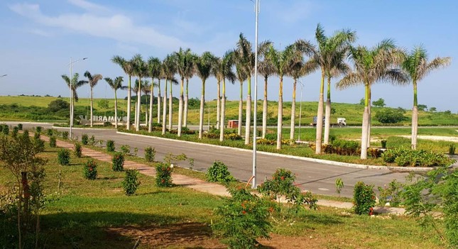 Khu kinh tế đầu tiên của Việt Nam tại Cuba ‘trải thảm’ đón nhà đầu tư ảnh 5