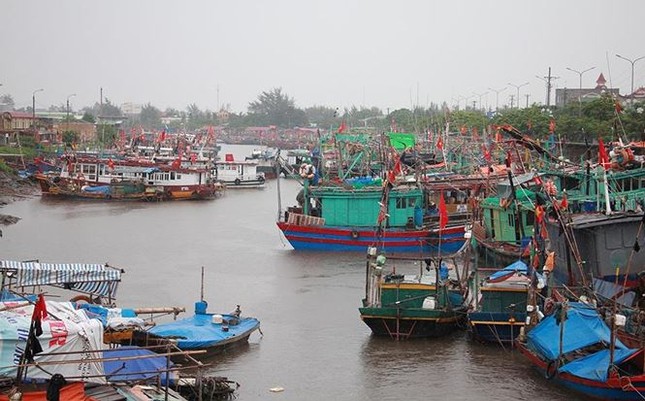Thủ tướng chỉ đạo ứng phó khẩn cấp với bão số 4 và mưa lũ ảnh 1