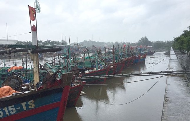 Thủ tướng chỉ đạo ứng phó khẩn cấp với bão số 4 và mưa lũ ảnh 2