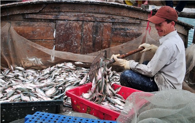 Hà Tĩnh: Lộc biển đầu năm ảnh 15