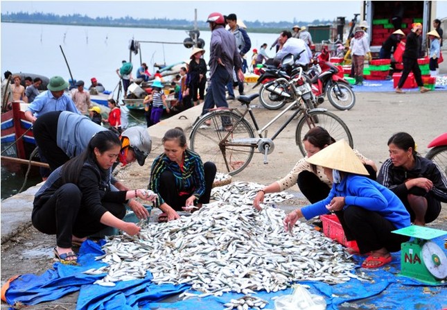 Hà Tĩnh: Lộc biển đầu năm ảnh 1
