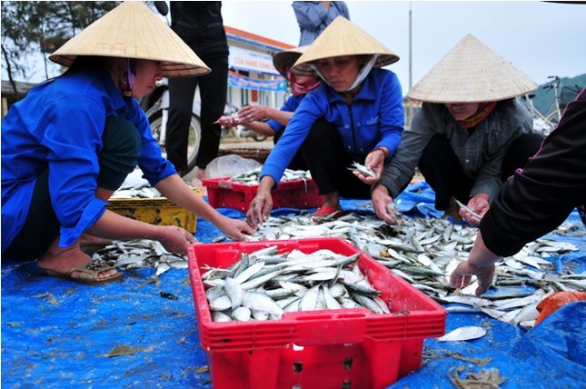 Hà Tĩnh: Lộc biển đầu năm ảnh 6