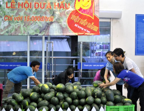 Dưa hấu thừa ế, chất đống vì sản xuất thiếu quy củ ảnh 1