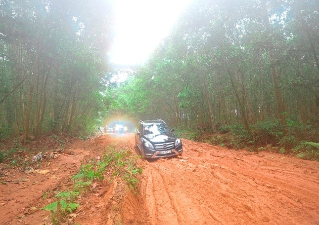 Mang xe sang đi… Off-road ảnh 10