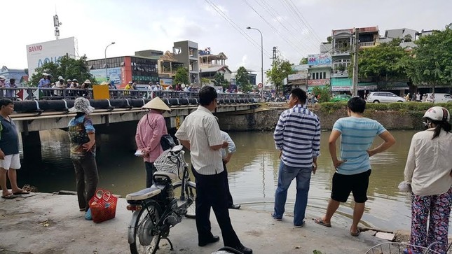Phát hiện cá chết và nổi bất thường trên sông An Cựu ảnh 2