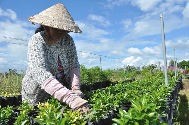 Giới trẻ đội nắng chụp ảnh bên thác hoa lớn nhất Việt Nam ảnh 5