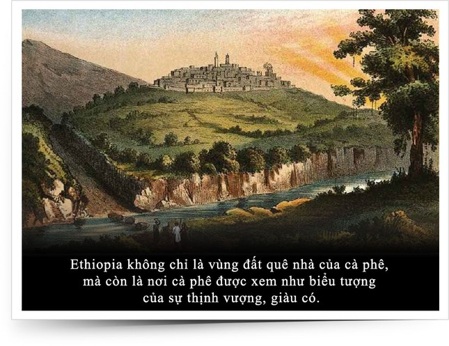 Khát vọng thịnh vượng từ vùng đất khởi sinh cà phê ảnh 2