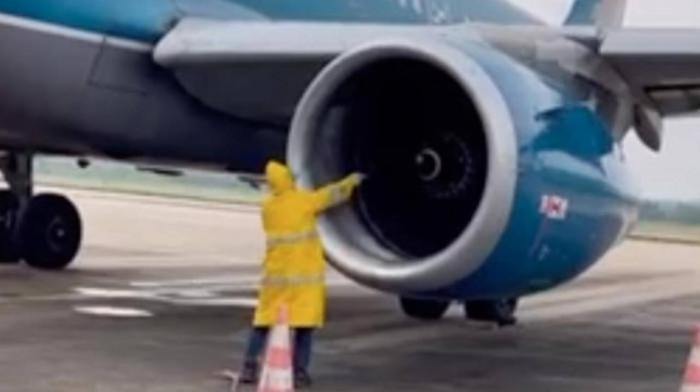 Bản tin 8H: Máy bay từ Phú Quốc về Hà Nội chậm khởi hành vì ong làm tổ trong động cơ ảnh 1