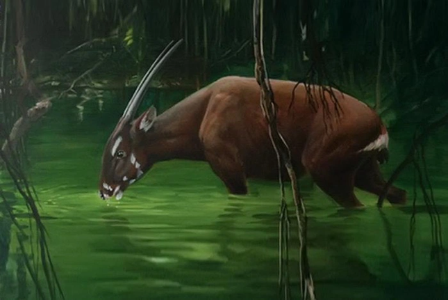Linh vật SEA Games 31: Loài thú cổ đại được cho là bí ẩn nhất thế giới ảnh 1
