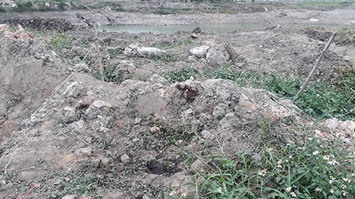 Con trai kể lại giây phút bố bị chặt chân tay, tử vong vì mất máu ảnh 1