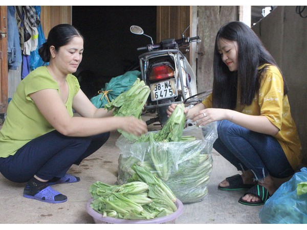 Bí quyết giành 9,5 điểm môn Văn của nữ sinh chuyên ban Tự nhiên bất ngờ chuyển sang khối C ảnh 2