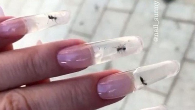 Nhốt kiến sống trong móng tay để làm đẹp ảnh 1