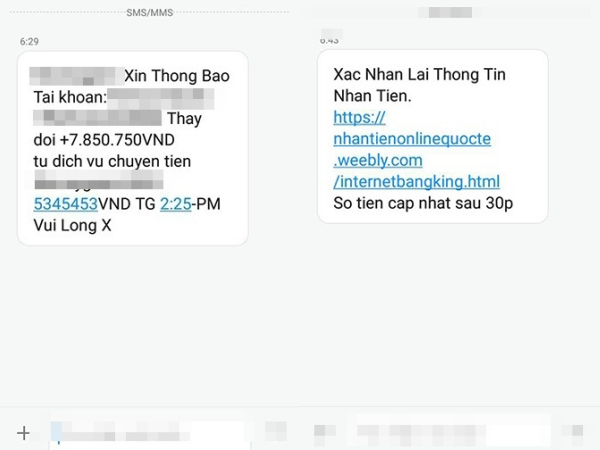 Chàng trai bị “thổi bay” 122 triệu đồng trong tài khoản chỉ vì "mua chó trên mạng" ảnh 4