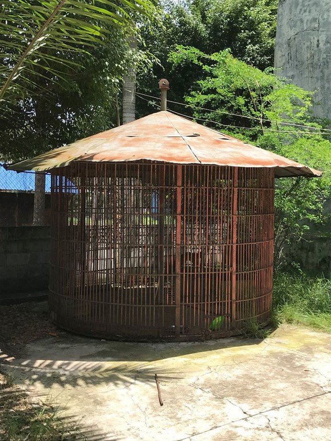 Rùng mình trước cảnh động vật bị ngược đãi tại Vườn thú công viên nước Củ Chi (TP.HCM) ảnh 16