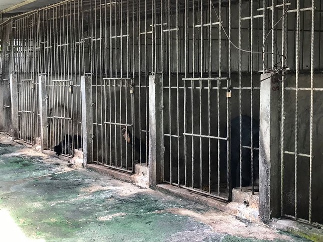 Rùng mình trước cảnh động vật bị ngược đãi tại Vườn thú công viên nước Củ Chi (TP.HCM) ảnh 20