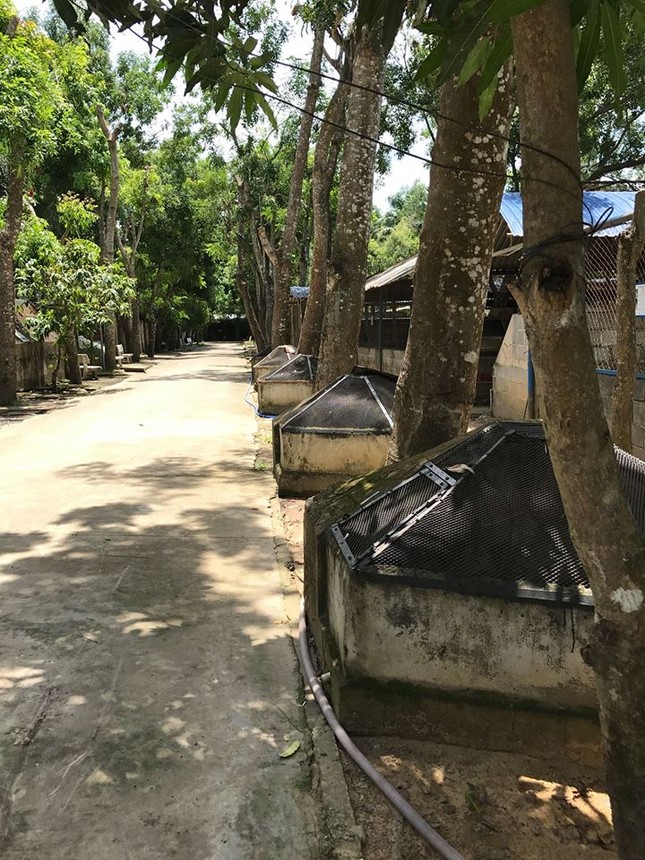 Rùng mình trước cảnh động vật bị ngược đãi tại Vườn thú công viên nước Củ Chi (TP.HCM) ảnh 23
