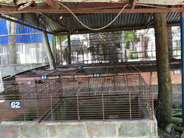 Rùng mình trước cảnh động vật bị ngược đãi tại Vườn thú công viên nước Củ Chi (TP.HCM) ảnh 24