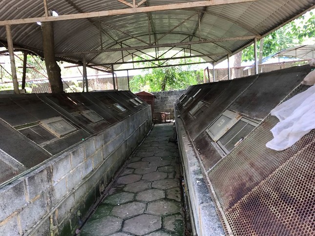 Rùng mình trước cảnh động vật bị ngược đãi tại Vườn thú công viên nước Củ Chi (TP.HCM) ảnh 25