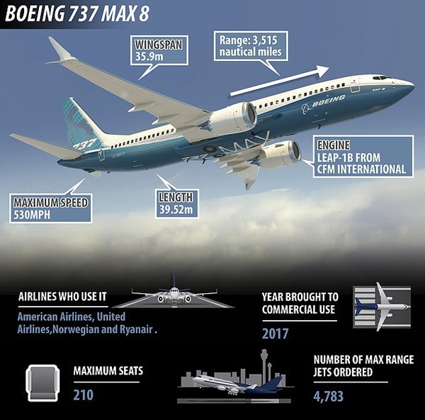 Vụ máy bay chở 189 người rơi xuống biển ở Indonesia: Lỗi thuộc về phi công? ảnh 2