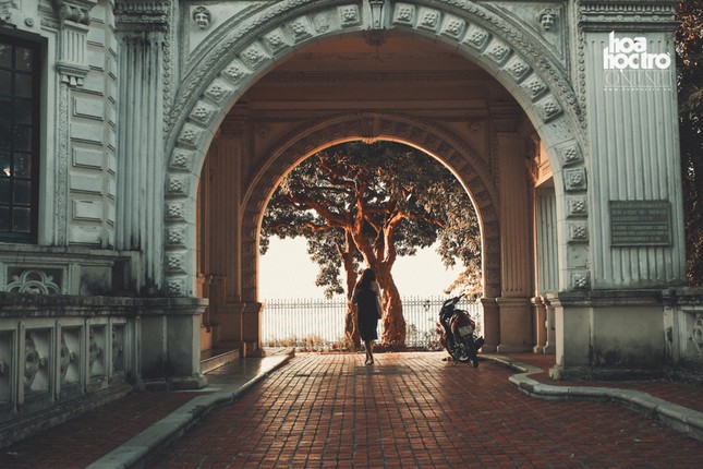 Vẻ đẹp trường tồn theo thời gian của “ngôi trường xuyên thế kỷ” bên bờ Hồ Tây ảnh 8