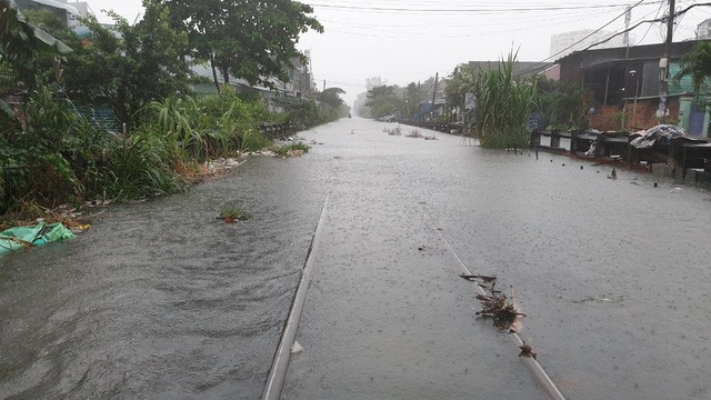 Sau bão số 9: Sài Gòn ngập khắp nơi, cây đổ đè người đi xe máy ảnh 13