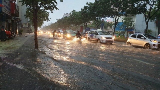 Sau bão số 9: Sài Gòn ngập khắp nơi, cây đổ đè người đi xe máy ảnh 18