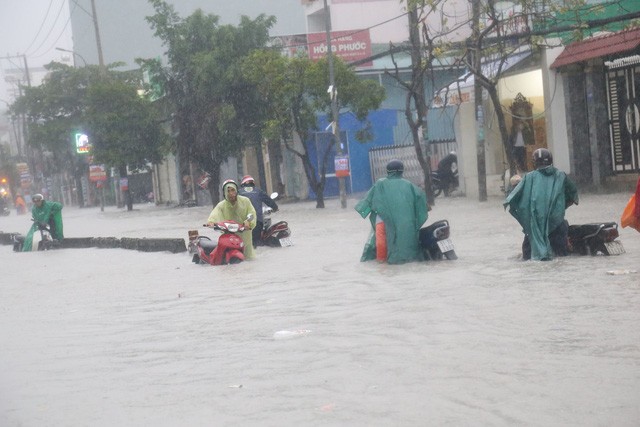 Sau bão số 9: Sài Gòn ngập khắp nơi, cây đổ đè người đi xe máy ảnh 20