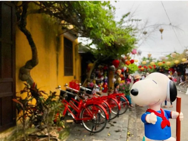 Không phải cúc họa mi, bộ ảnh "Snoopy đi quẩy" Đà Nẵng, Hội An này mới đang là tâm điểm MXH ảnh 11