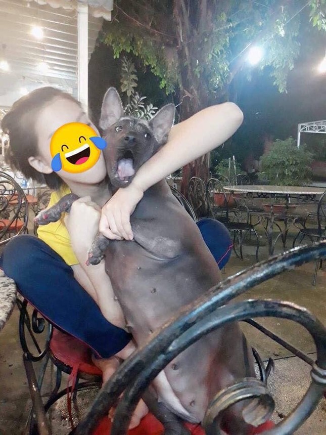 Cười không nhặt được mồm với hình ảnh chú chó điệu đà trong bộ pijama màu hồng ảnh 6