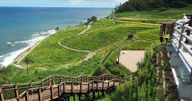 10 điểm đến tuyệt đẹp ít người biết ở Nhật Bản ảnh 1
