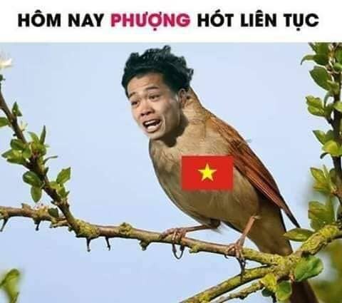 Chết cười với loạt ảnh chế tạm biệt Philippines, ăn mừng tuyển Việt Nam tiến vào chung kết ảnh 10