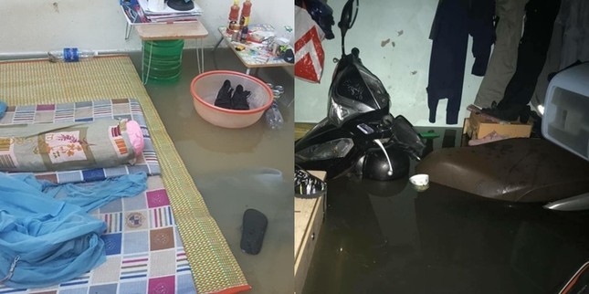 Bi hài chuyện người dân Đà Nẵng bơi lội, chèo xuồng, bắt cá giữa phố trong ngày ngập lụt ảnh 1