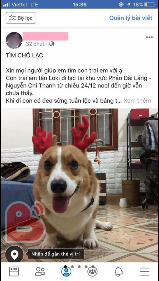 Cay cú vì bị "đá", nam thanh niên trộm chó của người yêu cũ đi bán gây tranh cãi khắp MXH ảnh 2