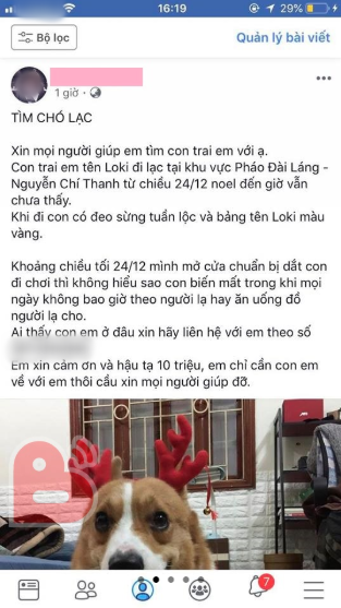 Cay cú vì bị "đá", nam thanh niên trộm chó của người yêu cũ đi bán gây tranh cãi khắp MXH ảnh 3