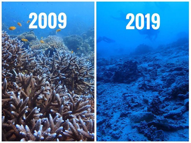#10yearschallenge: Hãy nhìn lại những gì chúng ta đã làm cho thiên nhiên trong vòng 10 năm qua! ảnh 3