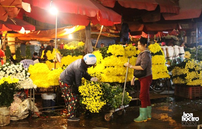 Ghé thăm chợ hoa đầu mối lớn nhất Hà Nội dịp Rằm tháng Giêng ảnh 8