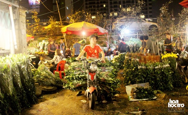 Ghé thăm chợ hoa đầu mối lớn nhất Hà Nội dịp Rằm tháng Giêng ảnh 7