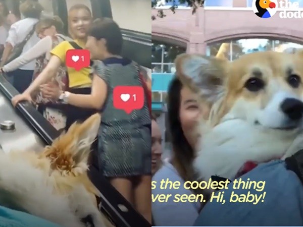 Còn gì bằng khi được "người tình" cõng đi làm hàng ngày ảnh 4